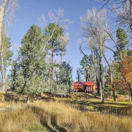 Cozy Colorado Cabin With Deck, Grill And River Access! Buena Vista Zewnętrze zdjęcie