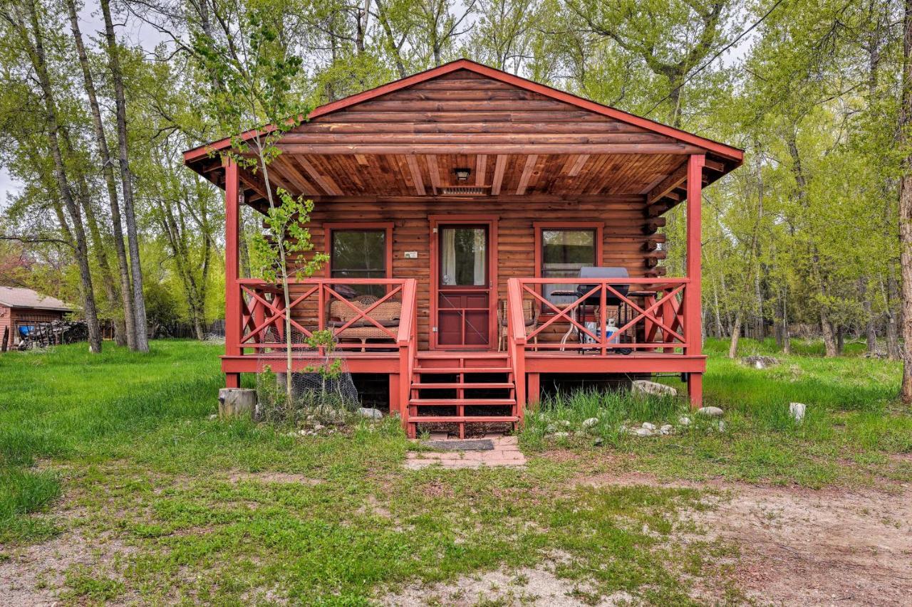 Cozy Colorado Cabin With Deck, Grill And River Access! Buena Vista Zewnętrze zdjęcie