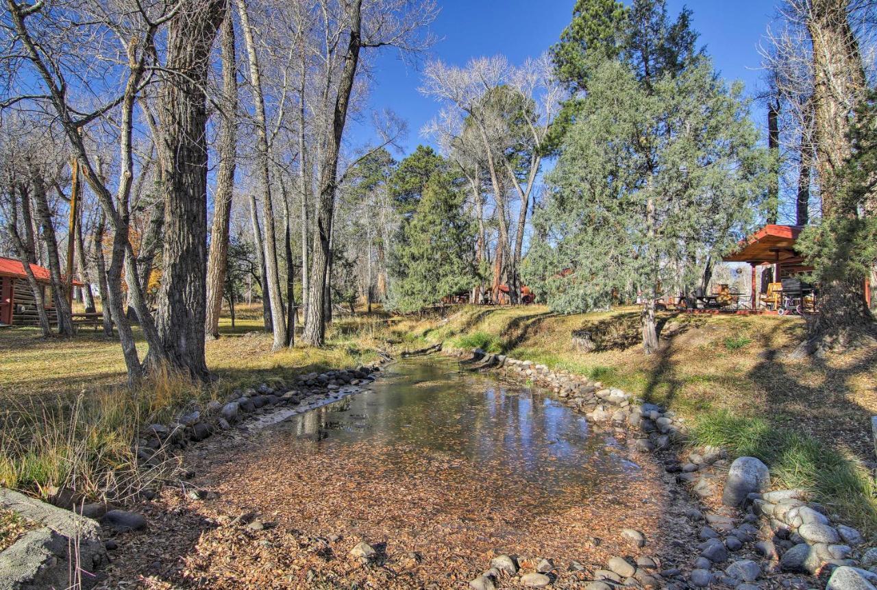 Cozy Colorado Cabin With Deck, Grill And River Access! Buena Vista Zewnętrze zdjęcie