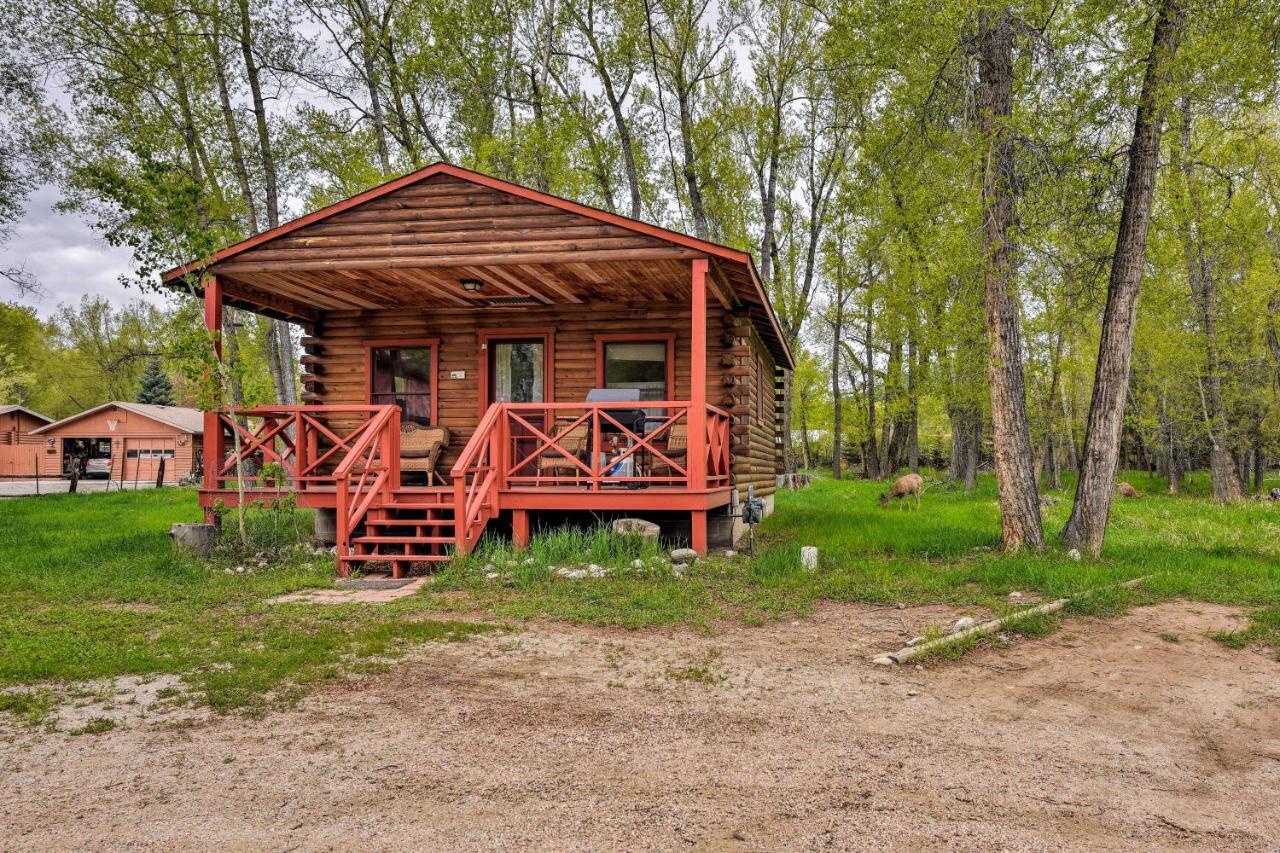Cozy Colorado Cabin With Deck, Grill And River Access! Buena Vista Zewnętrze zdjęcie