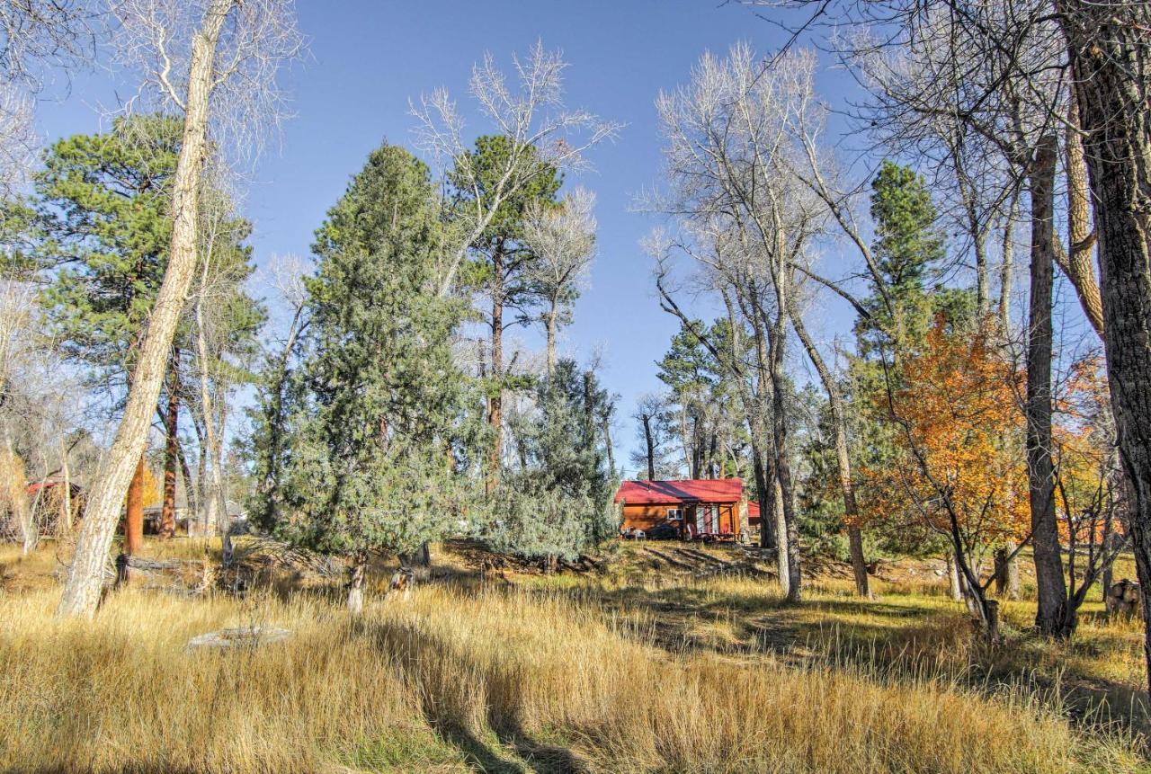 Cozy Colorado Cabin With Deck, Grill And River Access! Buena Vista Zewnętrze zdjęcie